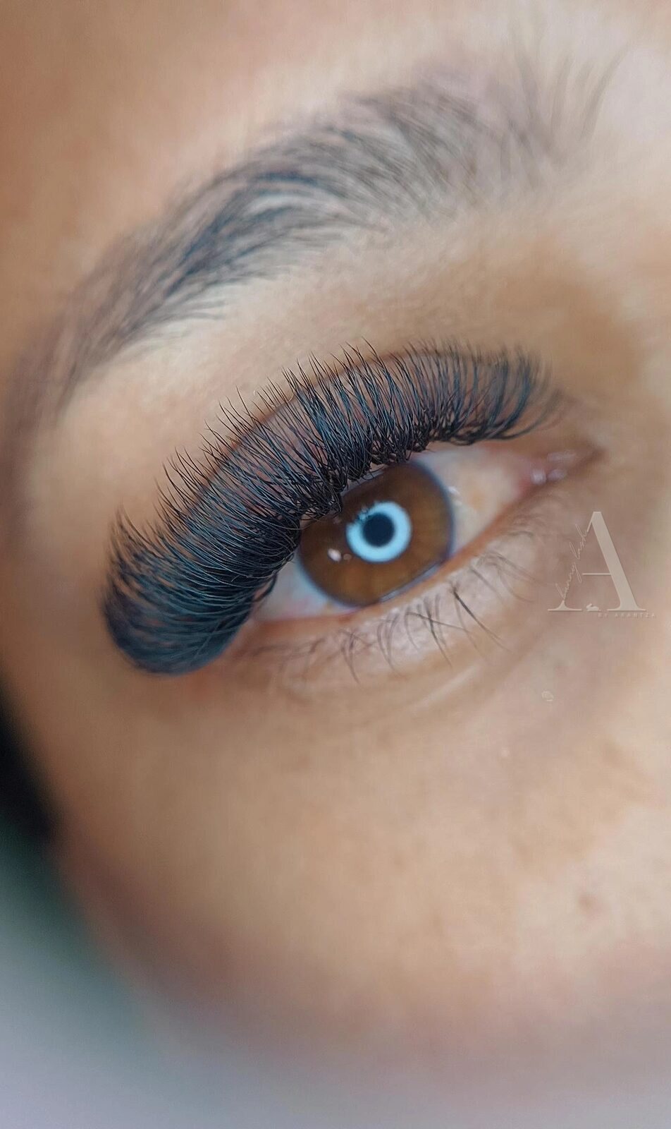 Set de efecto aura hecho en Bunny Lash, volumen esponjado