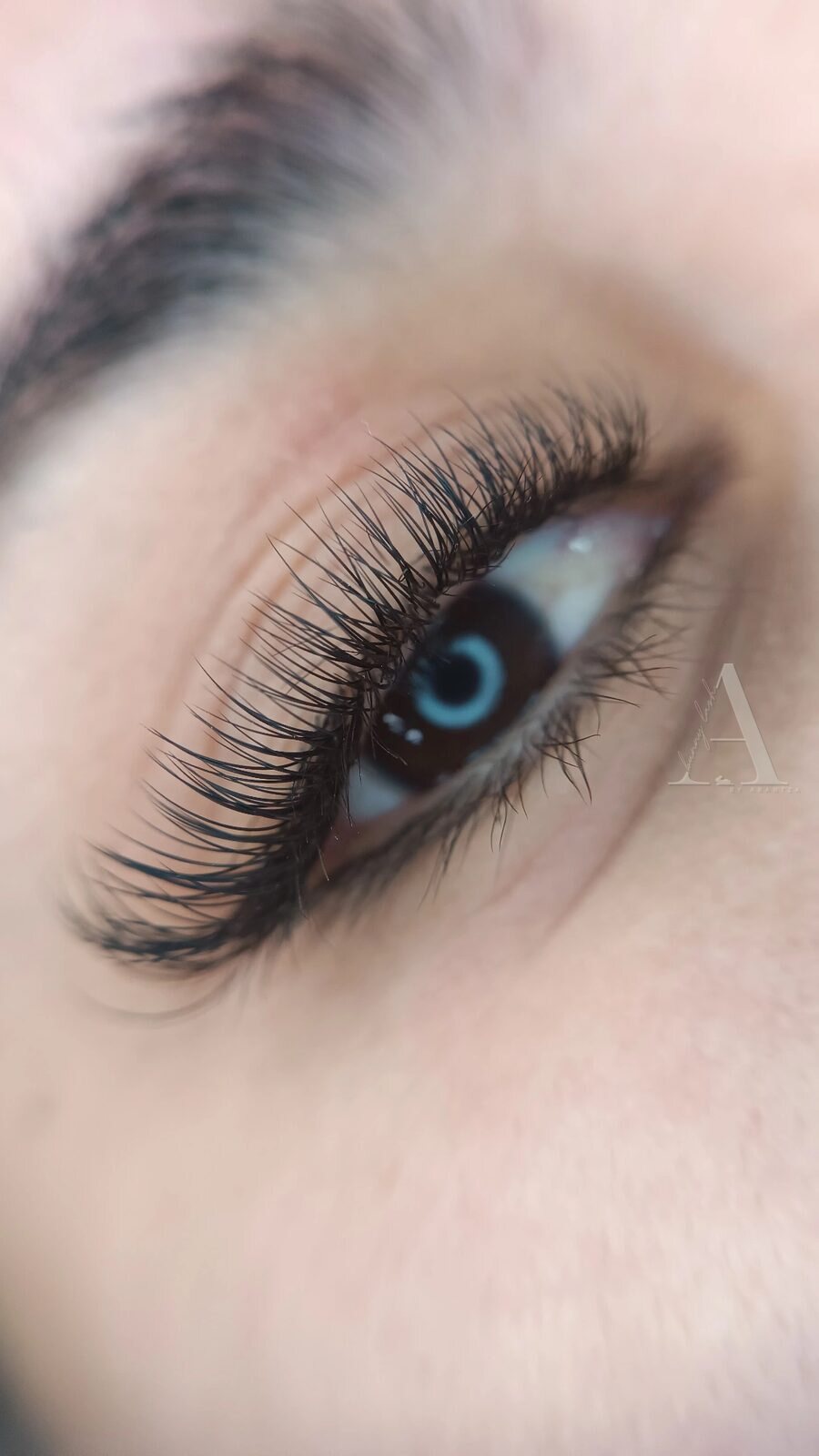 Set de pestañas clásicas hecho en Bunny Lash, curvatura natural