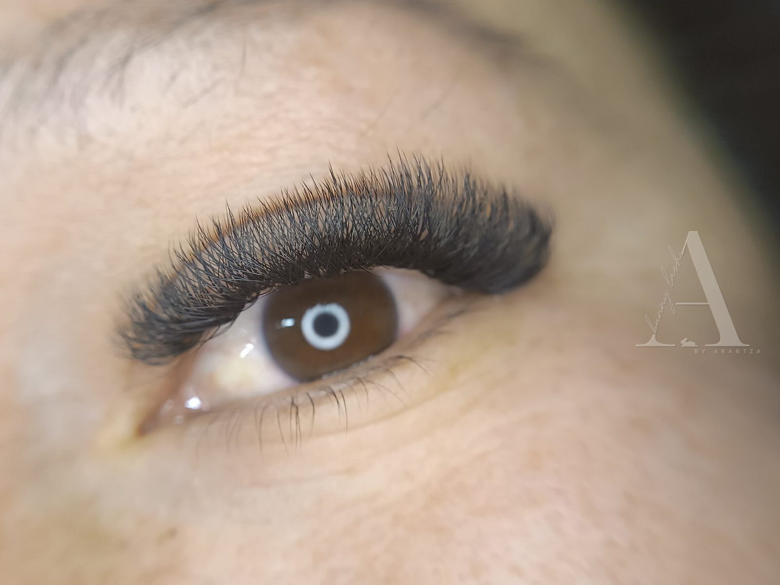 Set de volumen Hollywood 6D hecho en Bunny Lash