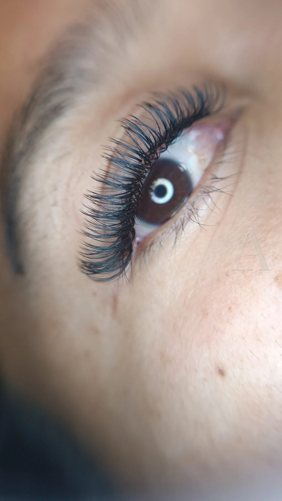 Set de efecto mojado hecho en Bunny Lash, puntas definidas y brillo