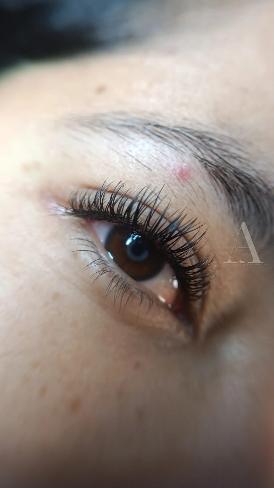 Set de efecto rímel hecho en Bunny Lash, acabado con cuerpo